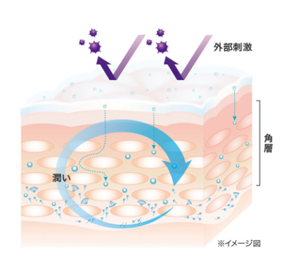ヴァイタサイクルヴェール